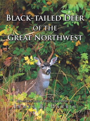 cover image of Black-Tailed Deer of the Great Northwest